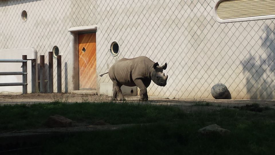 ZOO Roterdam - Nizozemska - foto povečava