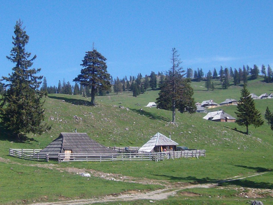 Velika Mala planina - foto povečava