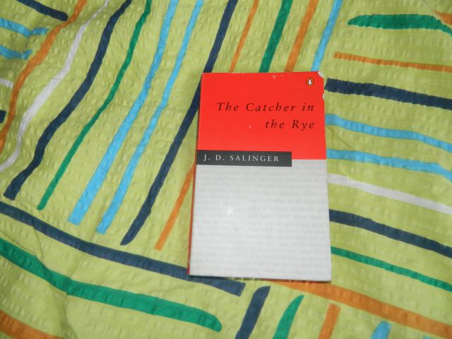 P: The Catcher in the Rye in No Soy un Libro - foto