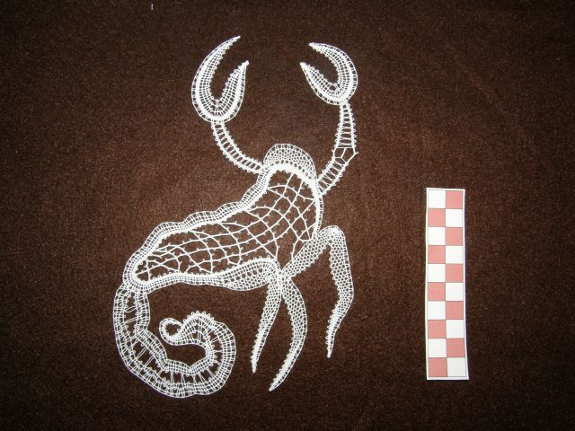 Razstava klekljaric Stražišče 2012 - foto