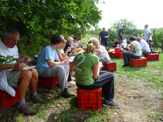 Branik 2013 - foto