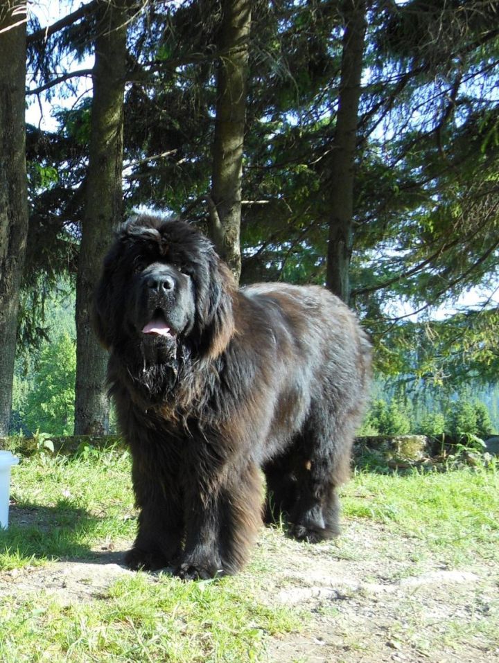 BOY - foto povečava