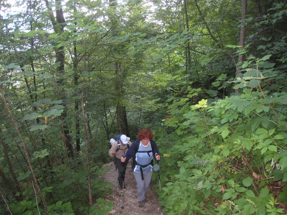 Črna prst (19.7.2012) - foto povečava