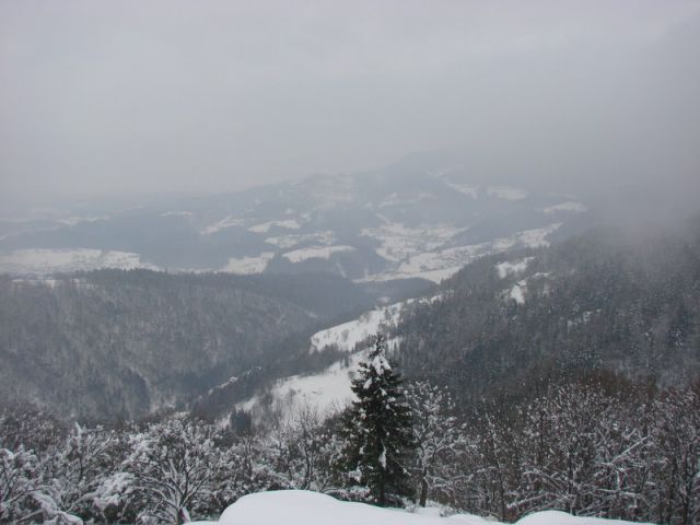 Velika planina (17.02.2013) - foto