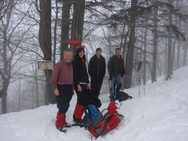 Velika planina (17.02.2013) - foto