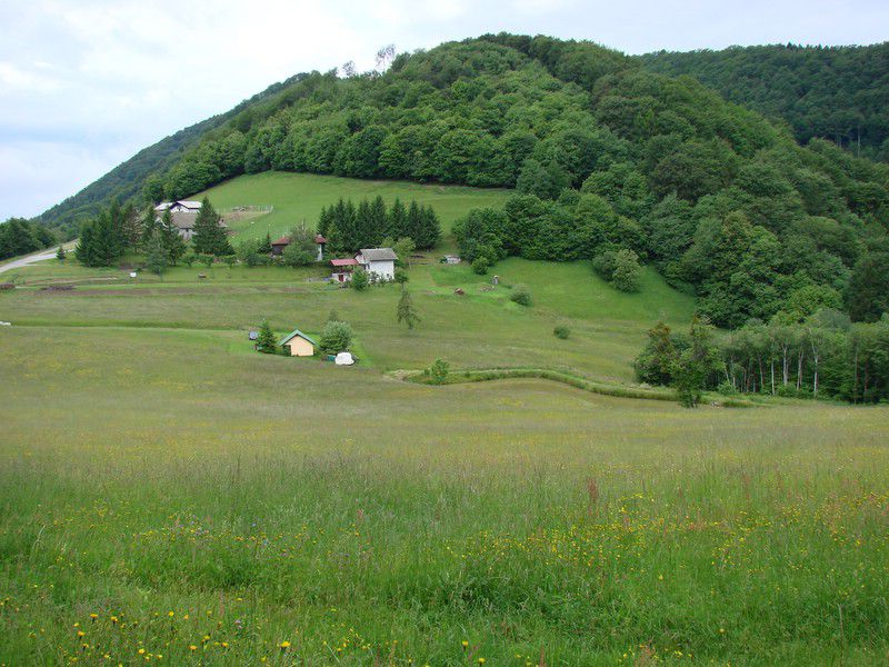 Boč-donačka (12.6.2013) - foto povečava