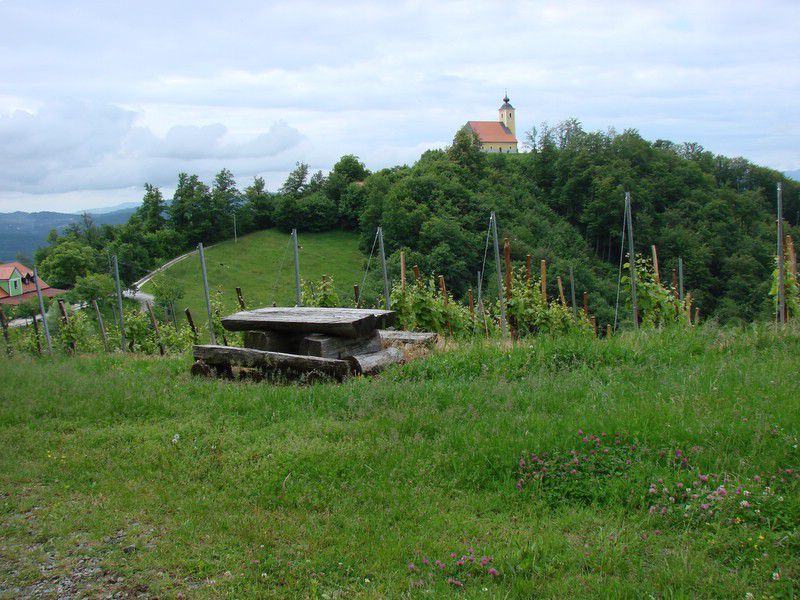 Boč-donačka (12.6.2013) - foto povečava