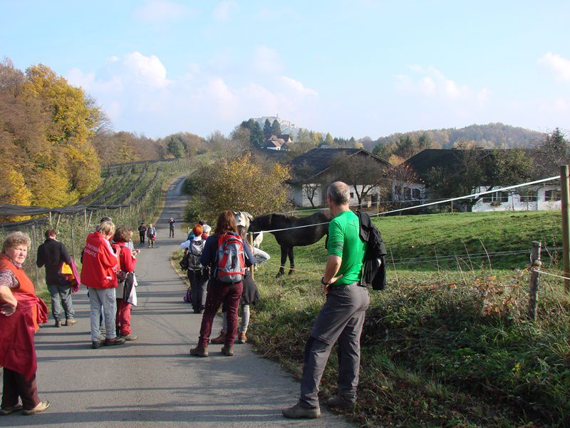 Izlet organizatorjev pl. tabora (nov.2013) - foto povečava