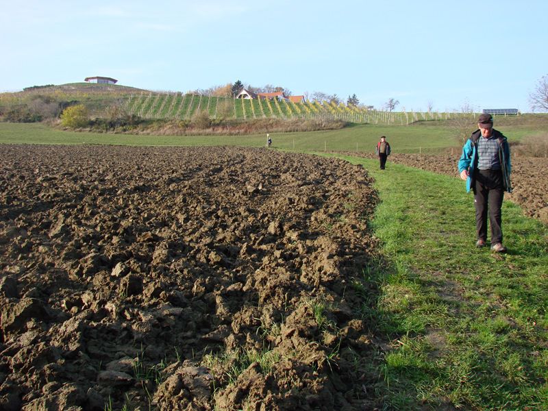 Izlet organizatorjev pl. tabora (nov.2013) - foto povečava