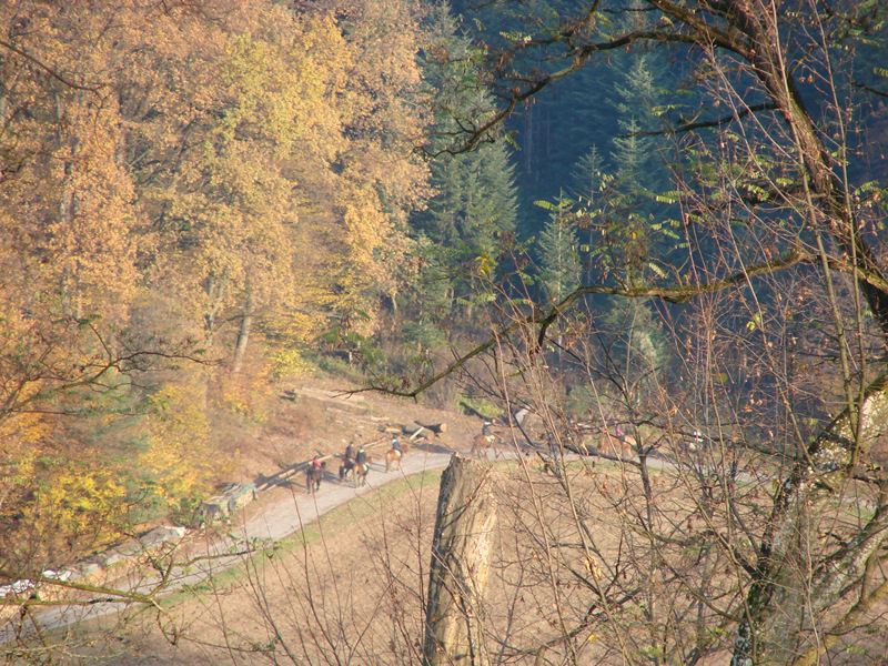 Izlet organizatorjev pl. tabora (nov.2013) - foto povečava