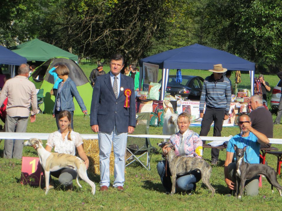 CAC Dolsko 2013 - foto povečava