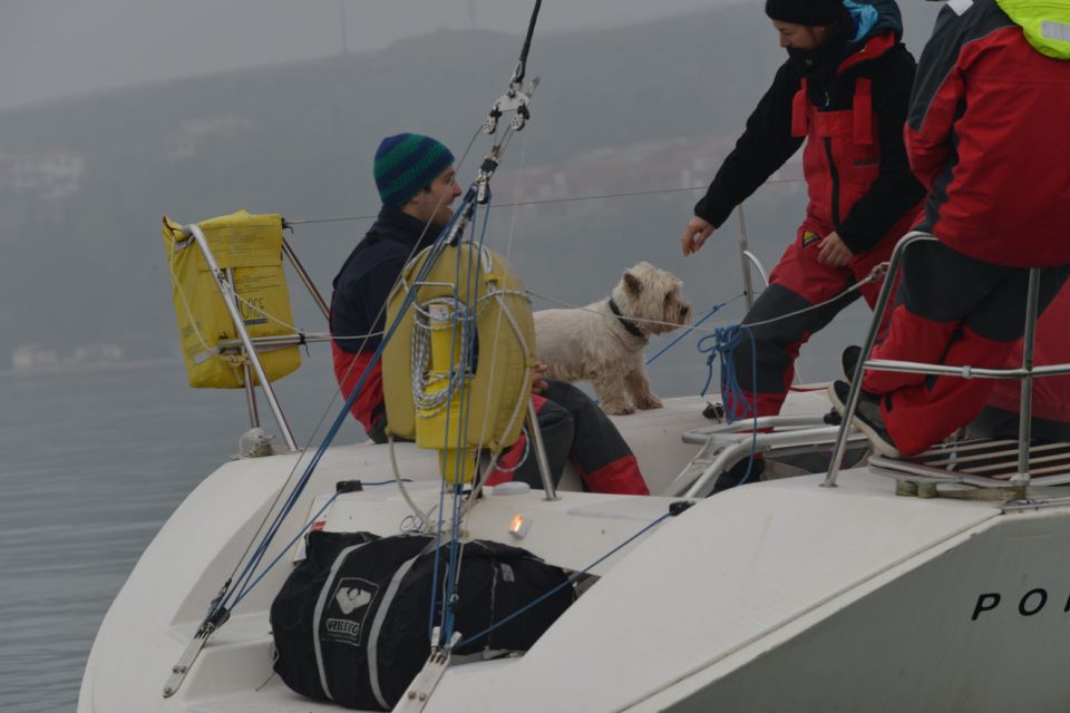 Novoletna regata 2014 WADA - foto povečava