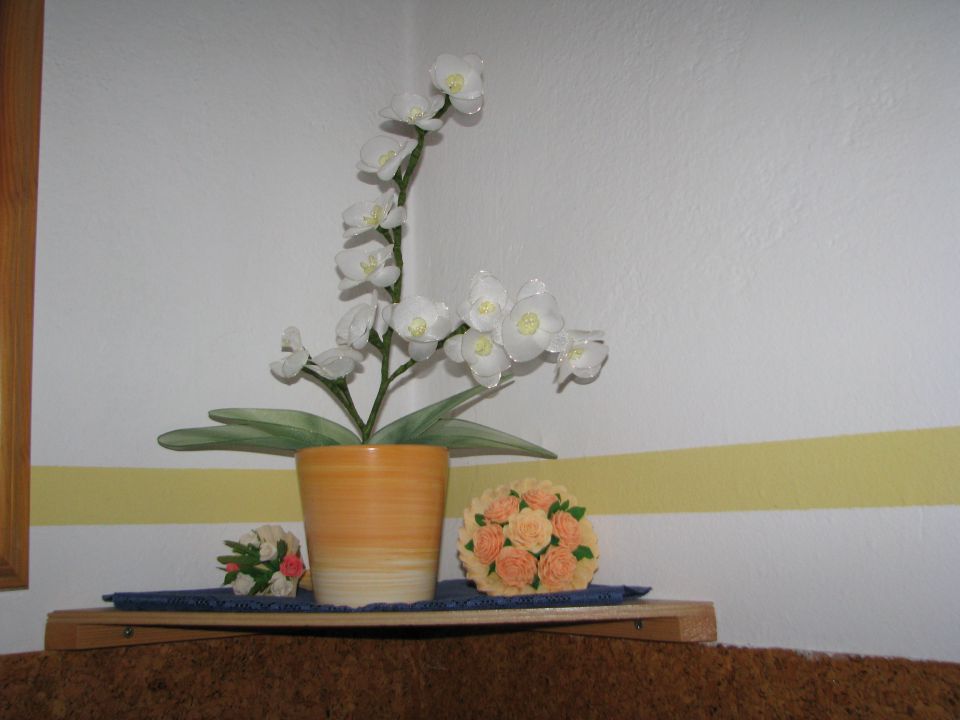 še ena orhideja