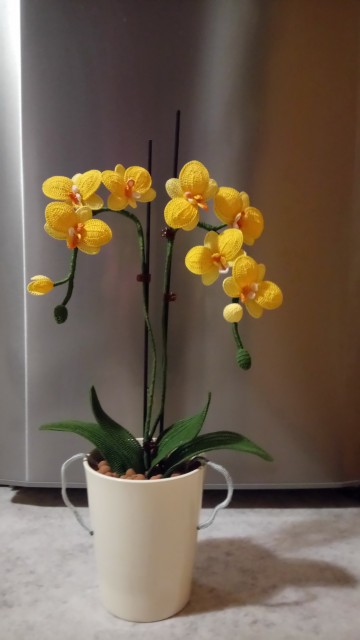 Kvačkane orhideje - foto