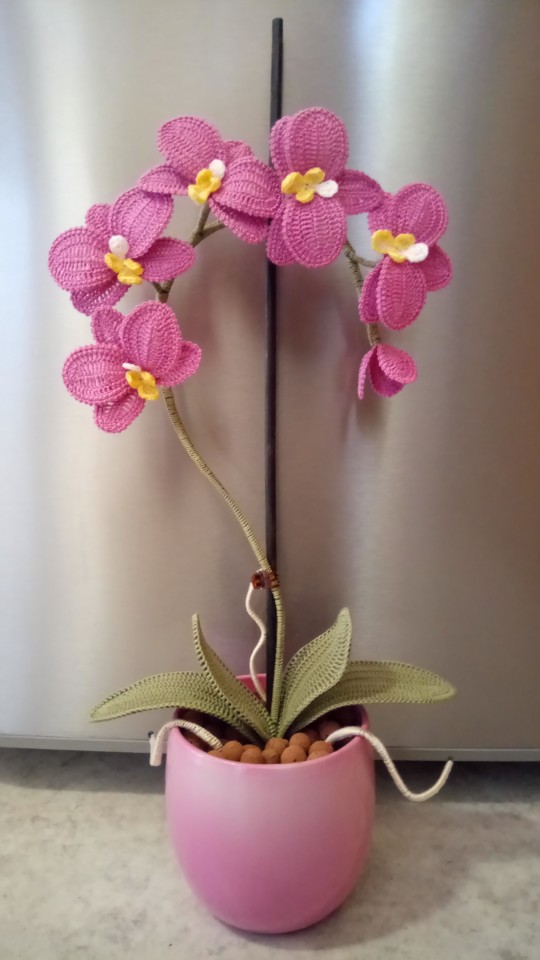 Kvačkane orhideje - foto povečava