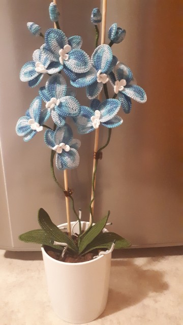 Kvačkane orhideje - foto