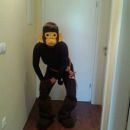 pustni kostum-opica