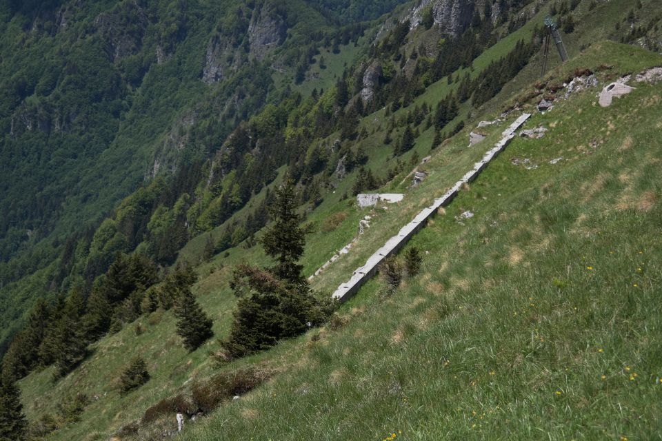 Soriška planina 28.5.2015 - foto povečava