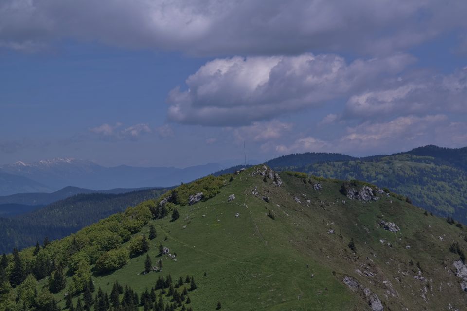 Soriška planina 28.5.2015 - foto povečava