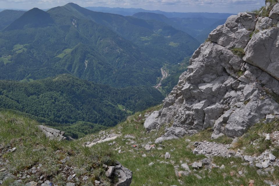Soriška planina 28.5.2015 - foto povečava
