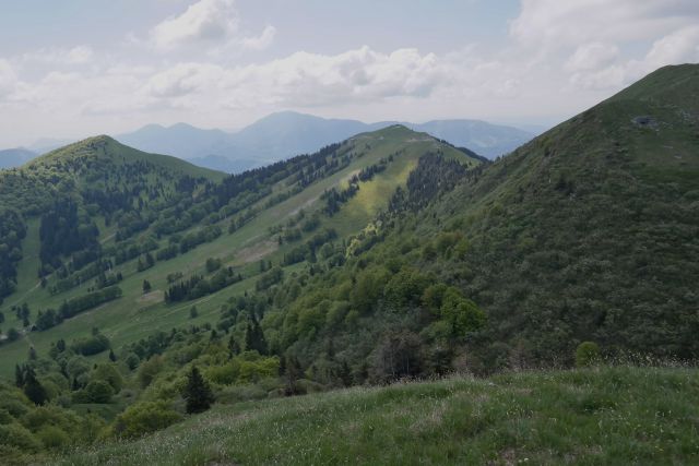 Soriška planina 28.5.2015 - foto
