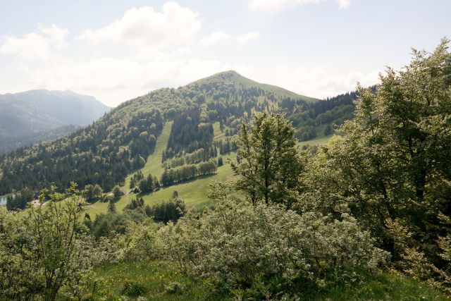 Soriška planina 28.5.2015 - foto