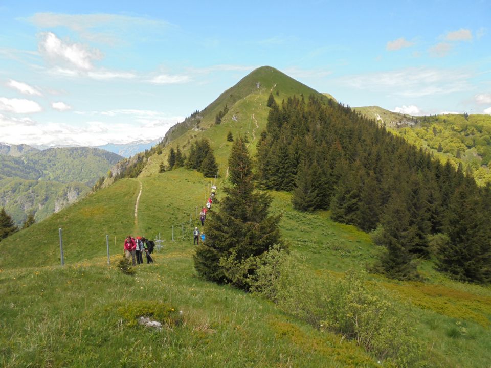 Soriška planina 28.5.2015 - foto povečava