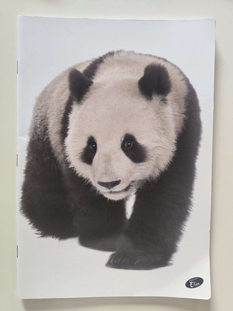 12 novih črtastih zvezkov A4, skupaj 10 eur - foto