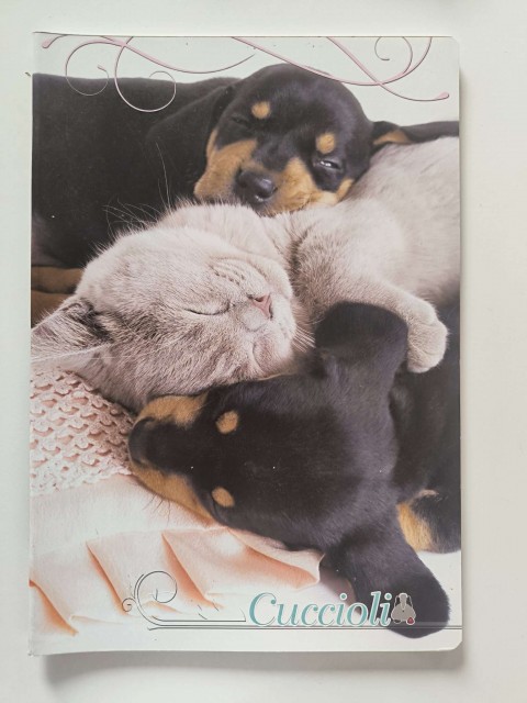12 novih črtastih zvezkov A4, skupaj 10 eur - foto