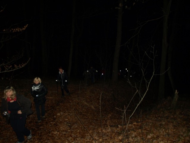 Debeli hrib 2012 nočna - foto