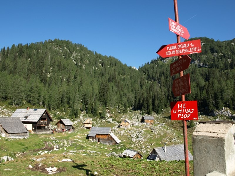 Dolina Trig. 2013 - foto povečava