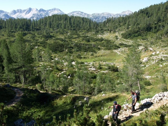 Dolina Trig. 2013 - foto