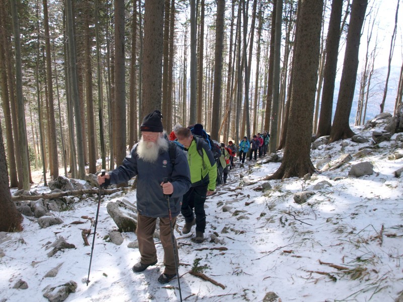 Golaki 2015 - foto povečava