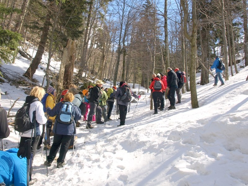 Golaki 2015 - foto povečava