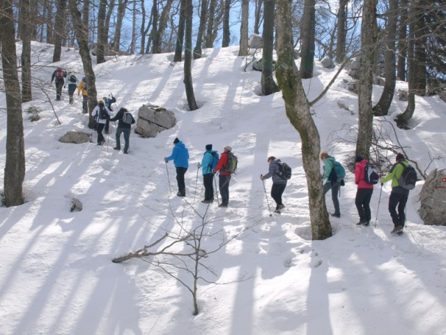 Golaki 2015 - foto