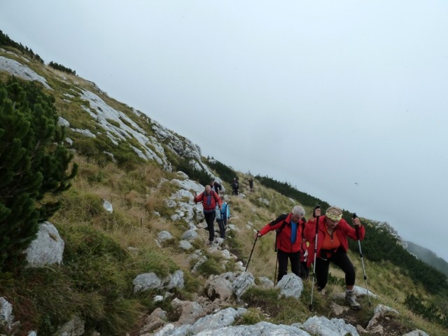 Grintovec 2015 - foto