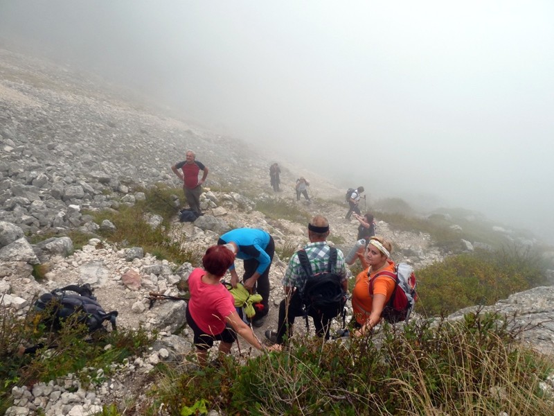 Grintovec 2015 - foto povečava