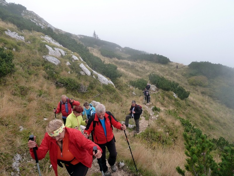 Grintovec 2015 - foto povečava