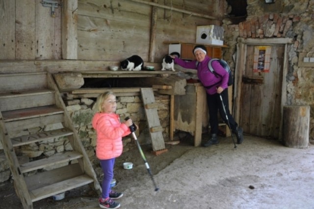 Ključ 2015 - foto