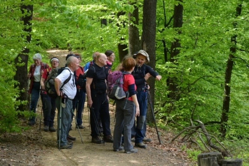 Ključ 2015 - foto povečava