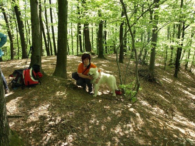 Ključ 2015 - foto