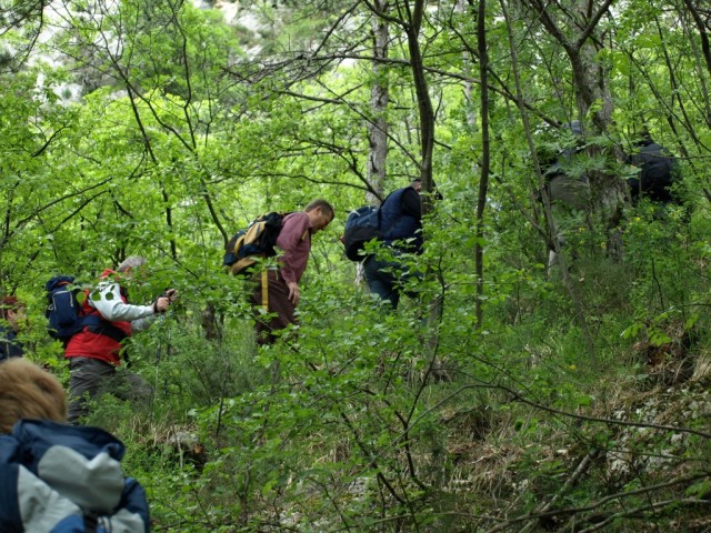 Kraški rob 2009 - foto