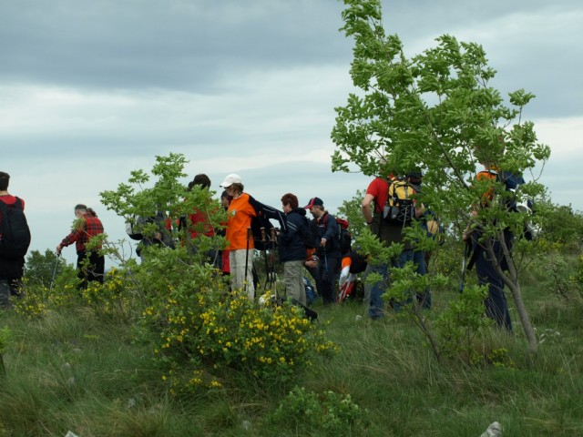 Kraški rob 2009 - foto