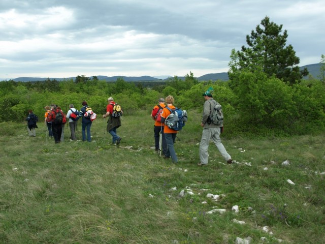 Kraški rob 2009 - foto