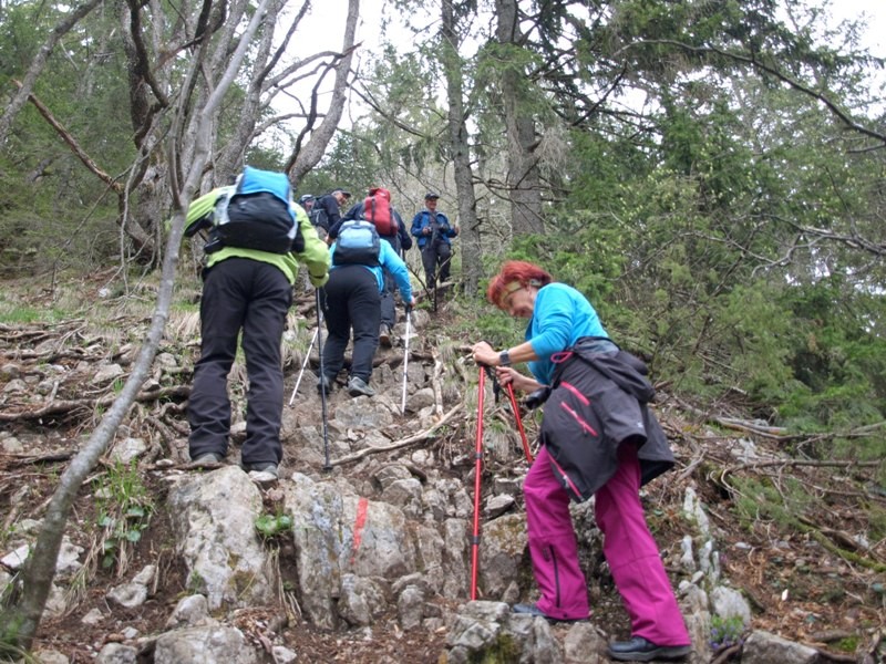 Kriška Gora 2015 - foto povečava