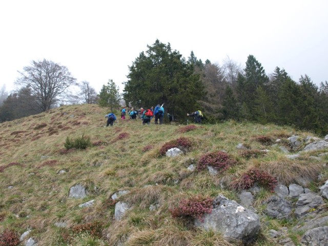 Kriška Gora 2015 - foto