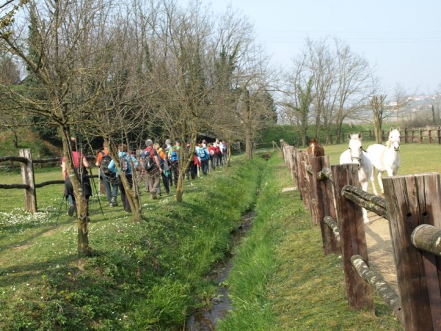 Krimska gora 2014 - foto