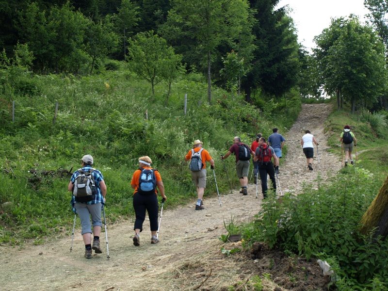 Kum 2013 - foto povečava