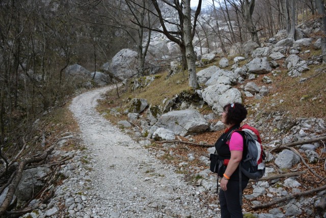 Tolminščice 19.3.2017 - foto