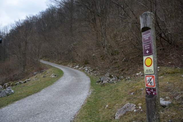 Tolminščice 19.3.2017 - foto